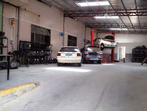 一站式汽車服務指南 從維修保養到專業陪駕