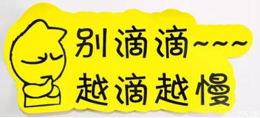 實習車上路 真的可怕嗎？解析馬路上的“隱形警報”與汽車陪駕服務